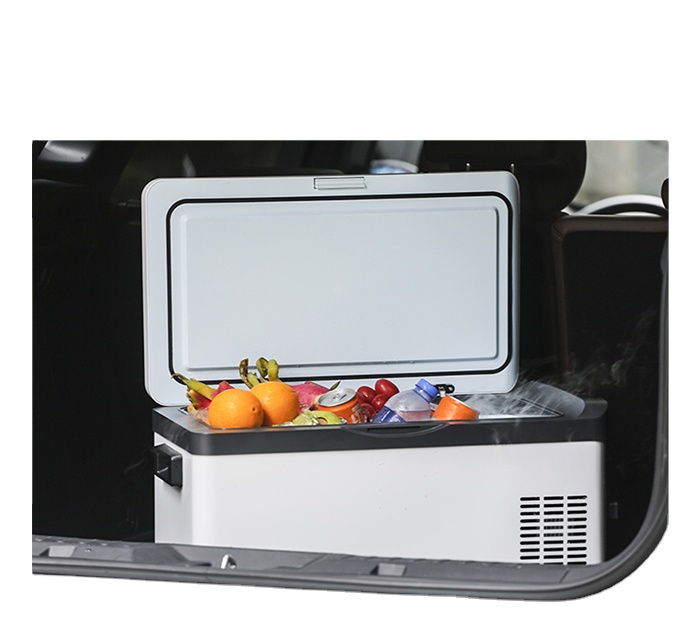 30 Liter 12V 240V Portable Cam - Outdoor Camp 评论和价格