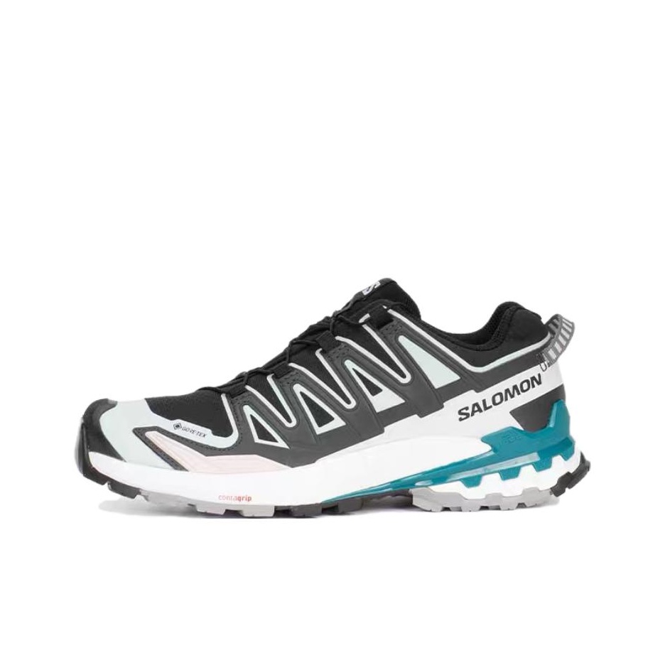SALOMON XA Pro 3D V9 Comfortab - Salomon Shoes Xa Pro 3D 评论和价格